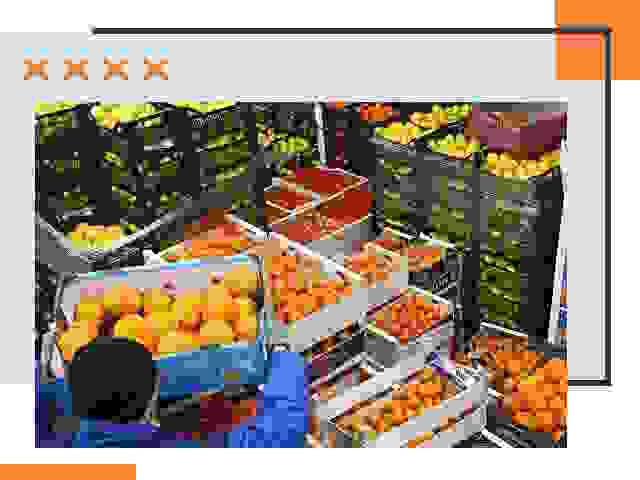 Перевозка скоропортящихся продуктов в Раменском